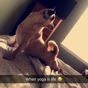 Meet your Posher, Mallory